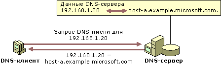 Пример: Обратный поиск в DNS